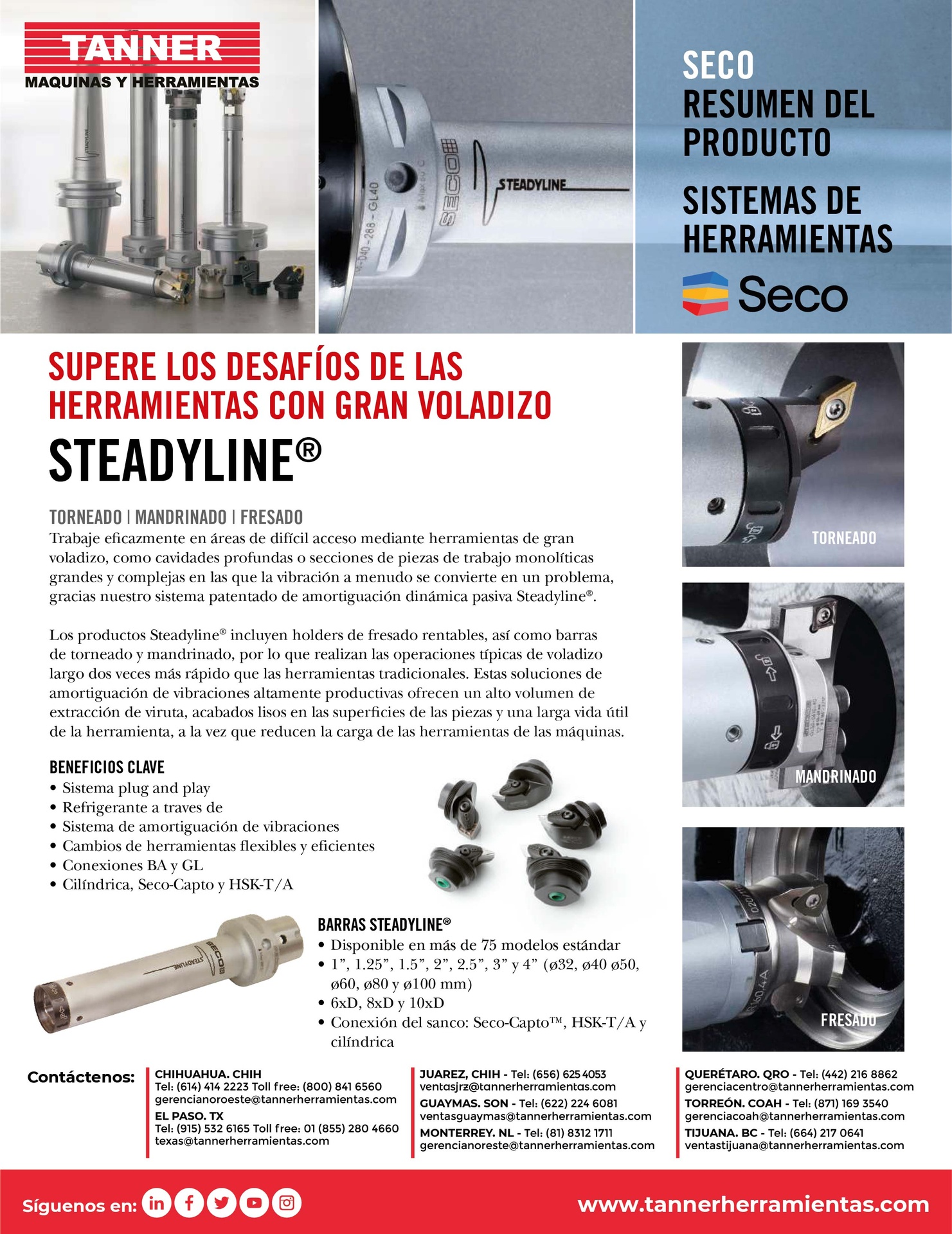 Steadyline®